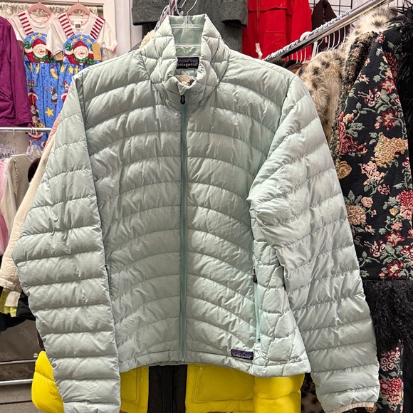 Patagonia Jackets & Blazers - Patagonia BluePuffer Jacket